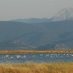 Wetland of Kalloni © Ján Svetlík by Flickr