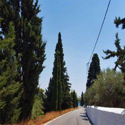 photo of road to kouzounos  beach, One Million Words, travel & discover mysterious Greece