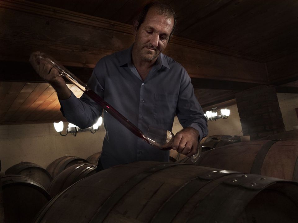 Karamitros on the project of winemaking