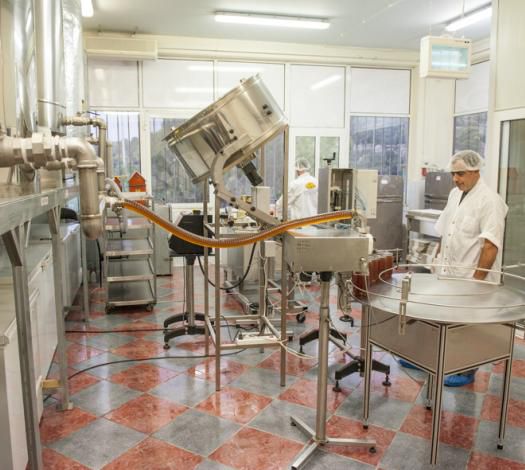 Production  of Fotopoulos Honey